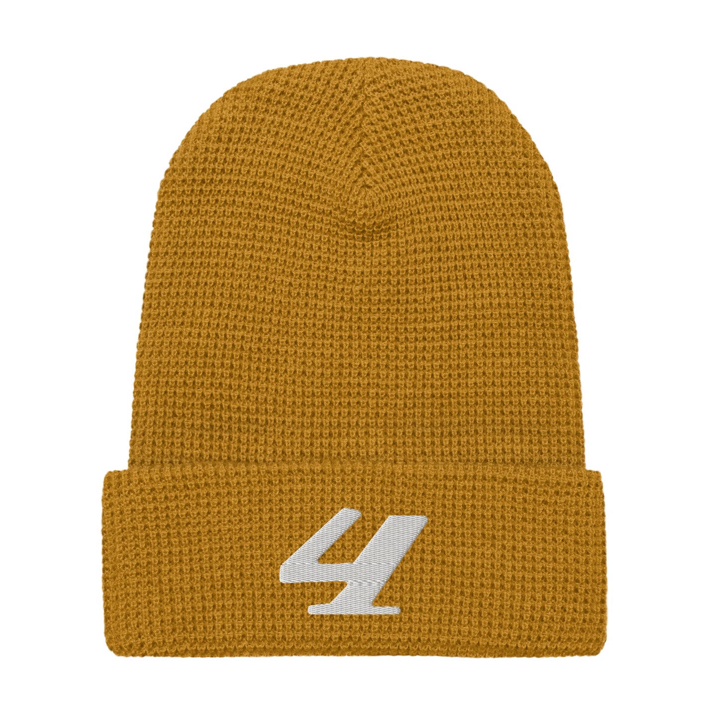 beanie #1